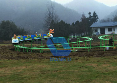 중국 특별한 디자인 궤도는, 성인/아이를 위한 오락 벌레 롤러코스터 탑니다 공장